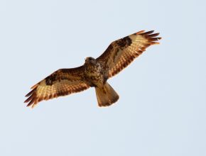 southsardinia.com-057